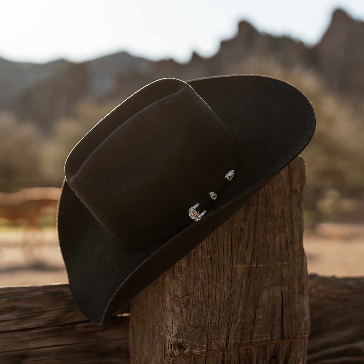 Wild West Classic 4X Cowboy Hat - Image 3